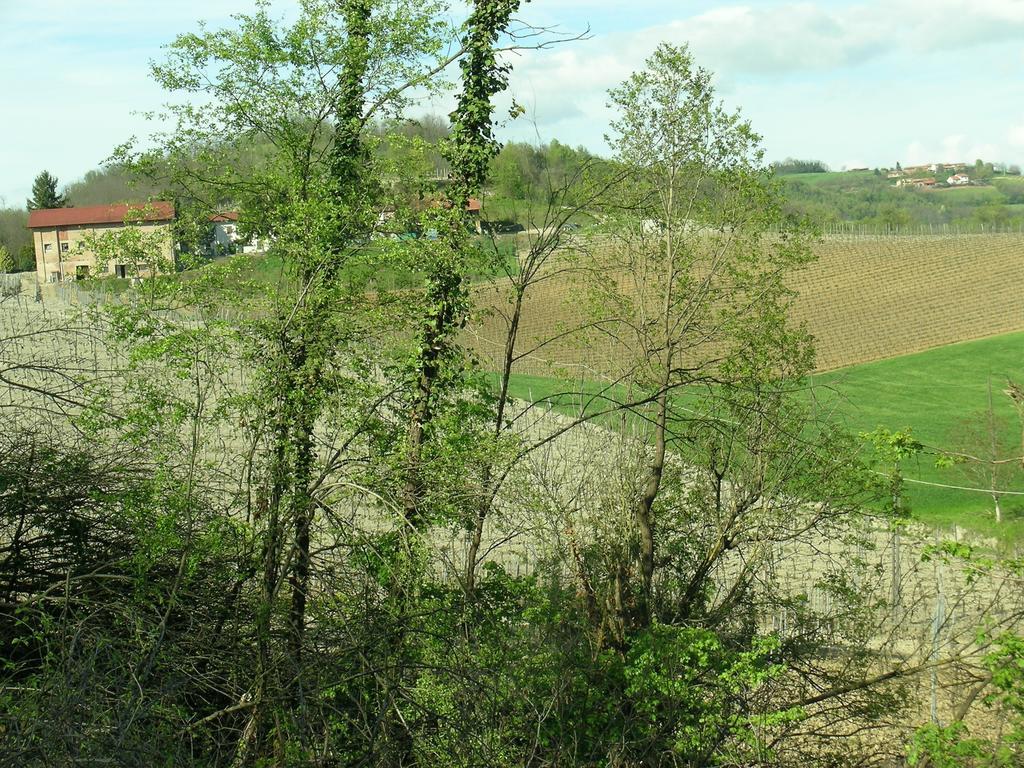 La Torretta - Cerreto Grue Bed & Breakfast Sarezzano Exterior photo